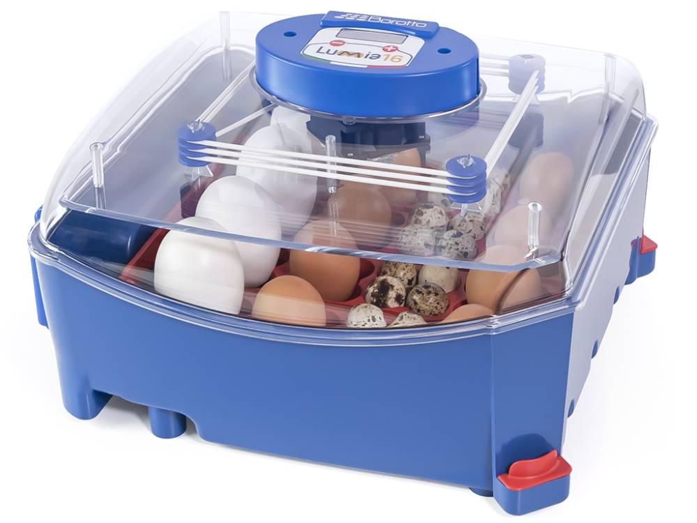 Obrázek k výrobku 125185 - Automatická líheň na vejce BOROTTO LUMIA 16 AUTOMATIC