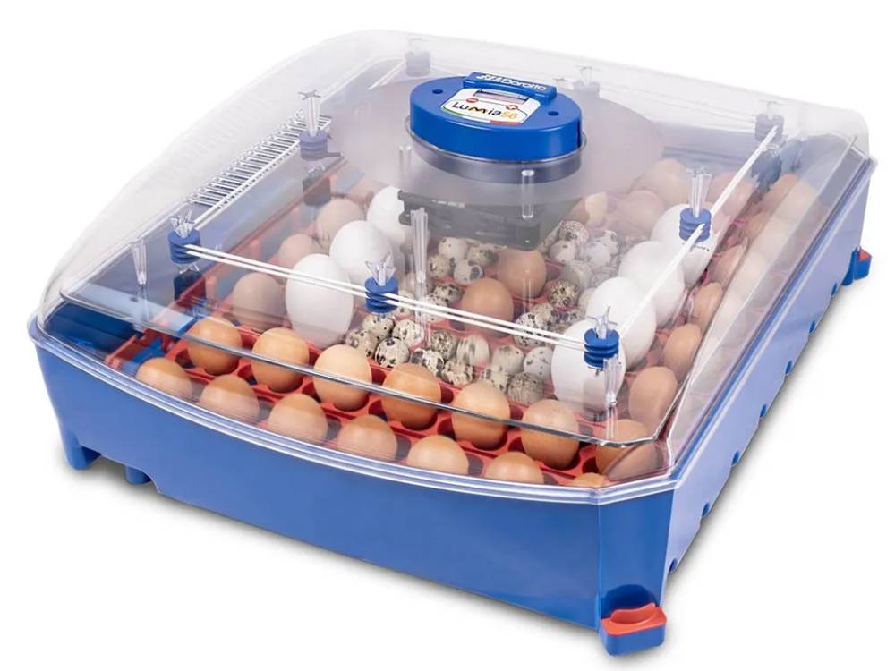 Obrázek k výrobku 125186 - Automatická líheň na vejce BOROTTO LUMIA 56 AUTOMATIC