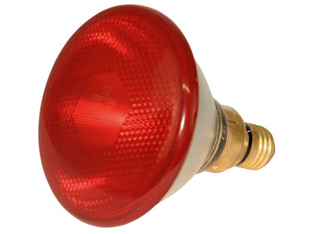 Obrázek k výrobku 125364 - Infražárovka úsporná KERBL 22246 PAR 38, 100 W - červená