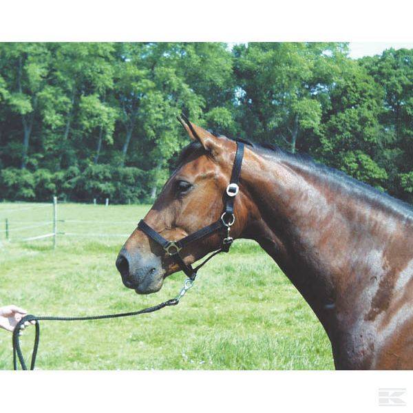Obrázek k výrobku 33777 - Koňská ohlávka nylon černá
