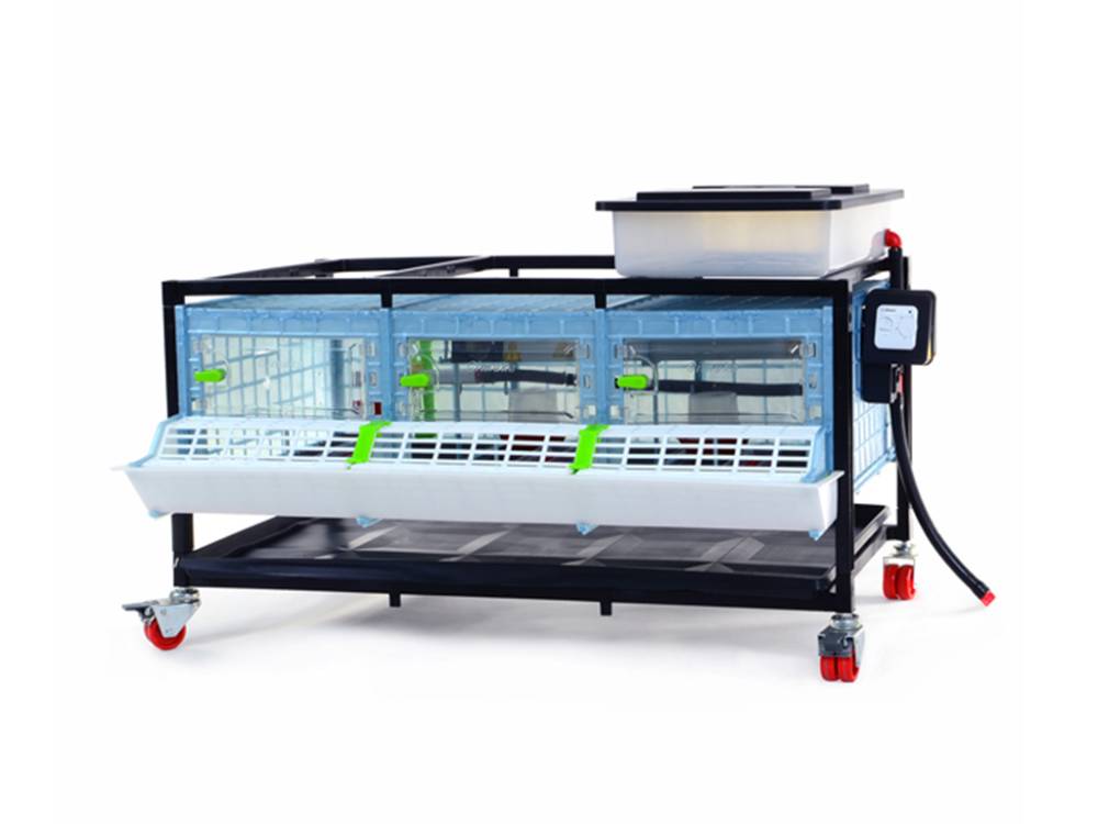 Obrázek k výrobku 125621 - Odchovna drůbeže CIMUKA CB25-03-1K