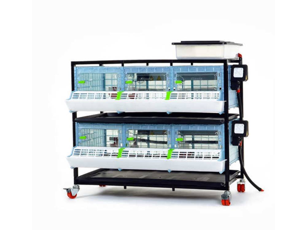 Obrázek k výrobku 125622 - Odchovna drůbeže CIMUKA CB25-03-2K