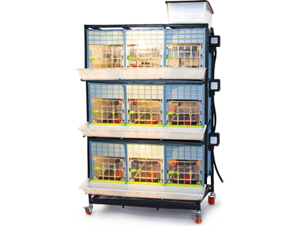 Obrázek k výrobku 125629 - Odchovna drůbeže CIMUKA CB40-03-3K