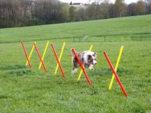 Obrázek k výrobku 125172 - Agility překážky pro psy KERBL 80758, set 3 typy