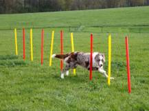 Obrázek k výrobku 125172 - Agility překážky pro psy KERBL 80758, set 3 typy