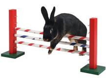 Obrázek k výrobku 125173 - Agility střední překážka pro králíky a jiné hlodavce KERBL 82859 UPRIGHT JUMP, 30x62cm