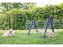 Obrázek k výrobku 125174 - Agility vysoká překážka pro králíky a jiné hlodavce KERBL 82866 KOMBO JUMP, 49x62 cm