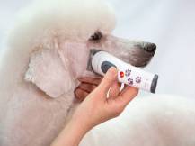 Obrázek k výrobku 125176 - Akumulátorový stříhací strojek na psy AESCULAP AKKURATA GT405