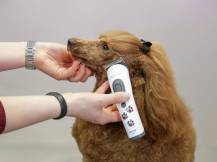 Obrázek k výrobku 125176 - Akumulátorový stříhací strojek na psy AESCULAP AKKURATA GT405