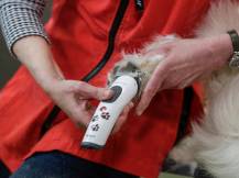 Obrázek k výrobku 125176 - Akumulátorový stříhací strojek na psy AESCULAP AKKURATA GT405