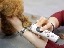 Obrázek k výrobku 125176 - Akumulátorový stříhací strojek na psy AESCULAP AKKURATA GT405