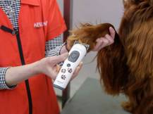 Obrázek k výrobku 125176 - Akumulátorový stříhací strojek na psy AESCULAP AKKURATA GT405