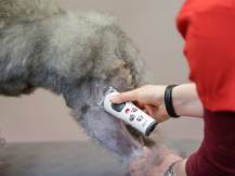 Obrázek k výrobku 125176 - Akumulátorový stříhací strojek na psy AESCULAP AKKURATA GT405