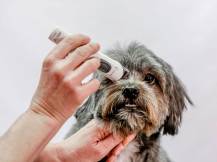 Obrázek k výrobku 125177 - Akumulátorový stříhací strojek na psy AESCULAP EXACTA GT416