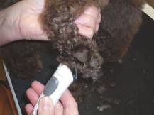 Obrázek k výrobku 125177 - Akumulátorový stříhací strojek na psy AESCULAP EXACTA GT416