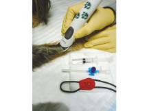 Obrázek k výrobku 125178 - Akumulátorový stříhací strojek na psy AESCULAP ISIS GT421