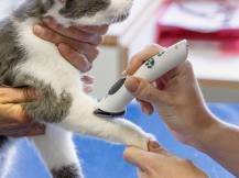 Obrázek k výrobku 125178 - Akumulátorový stříhací strojek na psy AESCULAP ISIS GT421