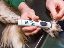 Obrázek k výrobku 125178 - Akumulátorový stříhací strojek na psy AESCULAP ISIS GT421