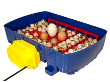 Obrázek k výrobku 125188 - Automatická líheň na vejce BOROTTO REAL 24 AUTOMATIC