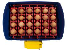 Obrázek k výrobku 125188 - Automatická líheň na vejce BOROTTO REAL 24 AUTOMATIC