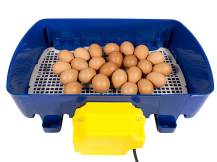 Obrázek k výrobku 125188 - Automatická líheň na vejce BOROTTO REAL 24 AUTOMATIC