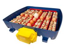 Obrázek k výrobku 125189 - Automatická líheň na vejce BOROTTO REAL 49 AUTOMATIC