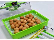 Obrázek k výrobku 125190 - Automatická líheň na vejce CIMUKA PD30SH AUTOMATIC