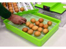 Obrázek k výrobku 125190 - Automatická líheň na vejce CIMUKA PD30SH AUTOMATIC