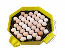 Obrázek k výrobku 121041 - Automatická líheň na vejce CLEO 5 DTH AUTOMATIC