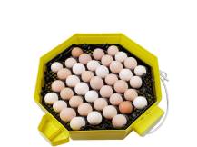 Obrázek k výrobku 125192 - Automatická líheň na vejce CLEO 5x2 DTH AUTOMATIC