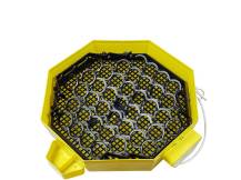 Obrázek k výrobku 125192 - Automatická líheň na vejce CLEO 5x2 DTH AUTOMATIC