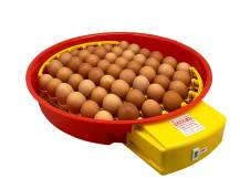 Obrázek k výrobku 125197 - Automatická líheň na vejce PUISOR IO-104 AUTOMATIC