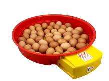 Obrázek k výrobku 125197 - Automatická líheň na vejce PUISOR IO-104 AUTOMATIC