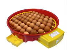 Obrázek k výrobku 125198 - Automatická líheň na vejce PUISOR IO-104A AUTOMATIC