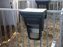 Obrázek k výrobku 125202 - Automatické krmítko na koncentrovaná krmiva pro telata KERBL 144353 FEED BOX 13 l