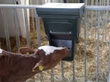 Obrázek k výrobku 125202 - Automatické krmítko na koncentrovaná krmiva pro telata KERBL 144353 FEED BOX 13 l