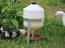 Obrázek k výrobku 125209 - Barelová napáječka pro drůbež plastová CF 006.10 SATURNO - 30l