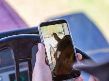 Obrázek k výrobku 125216 - Bezdrátová kamera KERBL 10812 SMARTCAM HD