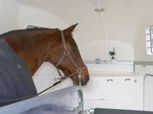 Obrázek k výrobku 125216 - Bezdrátová kamera KERBL 10812 SMARTCAM HD