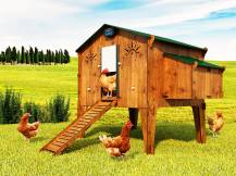 Obrázek k výrobku 125217 - Bezpečnostní dvířka s pojistkou ke kurníku CHICKEN GUARD DOOR 25x30