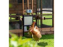 Obrázek k výrobku 125217 - Bezpečnostní dvířka s pojistkou ke kurníku CHICKEN GUARD DOOR 25x30