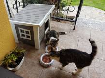 Obrázek k výrobku 125230 - Bouda pro kočky z EKO plastu KERBL 81636 ELI, 57x45x43 cm