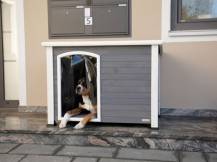 Obrázek k výrobku 125232 - Bouda pro psa dřevěná KERBL 80576 KENNY, 113x77x81 cm