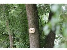 Obrázek k výrobku 125249 - Budka hnízdní pro malé ptactvo KERBL 82955, 21 x 13 x 13 cm