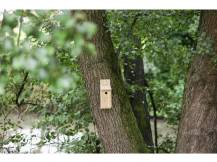 Obrázek k výrobku 125250 - Budka pro sýkorky, sada pro kutily KERBL 82959, 36 x 12 x 14 cm