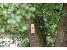 Obrázek k výrobku 125250 - Budka pro sýkorky, sada pro kutily KERBL 82959, 36 x 12 x 14 cm