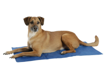 Obrázek k výrobku 125347 - Chladící podložka pro psy KERBL 80842 COOL-RELAX, 90x50 cm, modrá