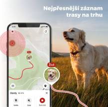 Obrázek k výrobku 129846 - DOG GPS mini lokátor pro psy