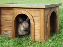 Obrázek k výrobku 125263 - Domeček pro králíky a jiné hlodavce KERBL 81773 XL, 59x39x30 cm