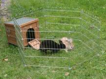 Obrázek k výrobku 125267 - Domeček pro králíky s uzavíratelnými dvířky KERBL 82740, 36x36x40 cm
